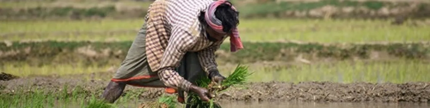 IN MEDIA : Les milieux aquatiques responsables de la moitié des émissions mondiales de méthane