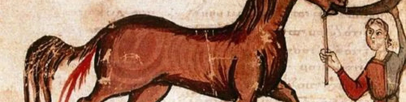 Sic Curabis (tu le soigneras ainsi) : quelles étaient les pratiques des anciens vétérinaires ?